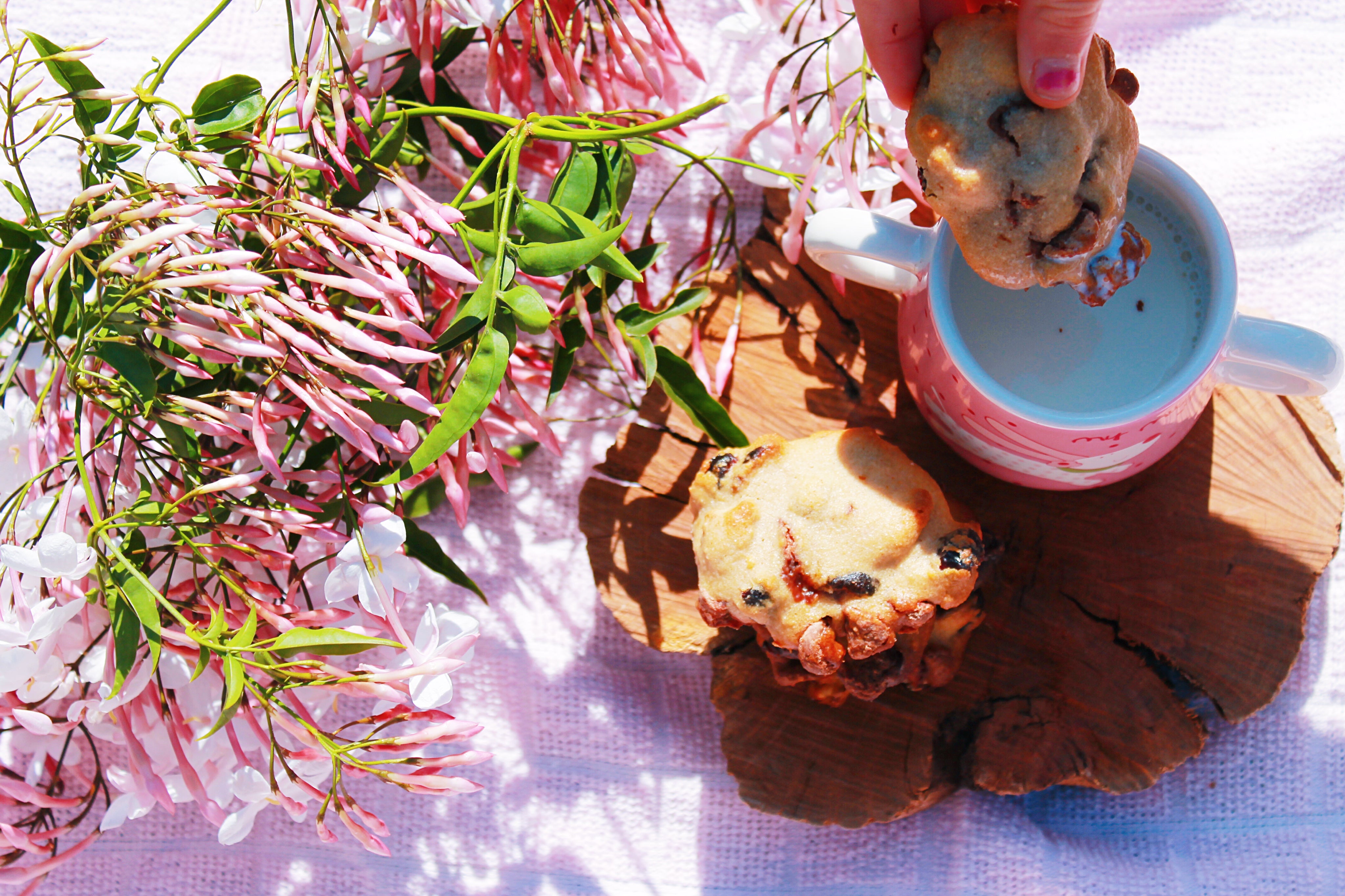 Gluten Free Cranberry Choc Cookies