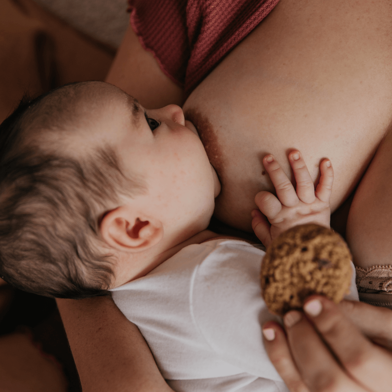 Make Milk Biscuits and Hydration Bundle